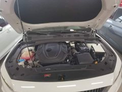 Geely Xingrui 2021 2.0T Diesel Luxury - ფოტო 19