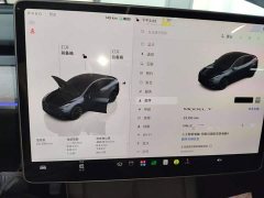 Tesla Model Y Rear-Wheel Drive - ფოტო 11