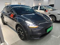 Tesla Model Y Rear-Wheel Drive - ფოტო 3