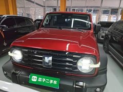 Tank 300 2021 Off-Road Edition 2.0T Conqueror - ფოტო 2