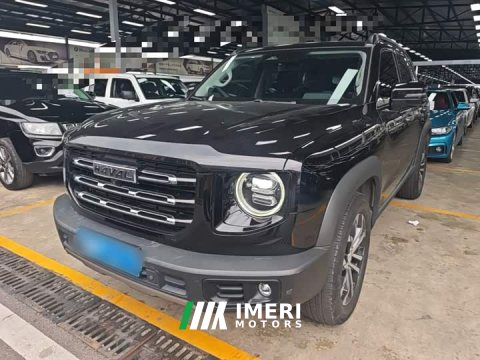 2021 Great Wall Dachshund 1.5T DCT Two-Wheel Drive Border Collie Edition - ავტომობილი ჩინეთიდან