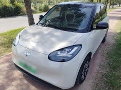 Wuling Binguo 2024 333km Joy Edition - ფოტო 1