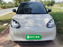 Wuling Binguo 2024 333km Joy Edition - ფოტო 2