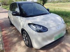 Wuling Binguo 2024 333km Joy Edition - ფოტო 3