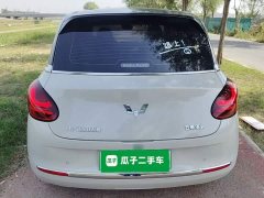 Wuling Binguo 2024 333km Joy Edition - ფოტო 5