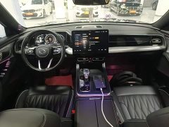 GAC Aion GS8 Pioneer Series 2.0T GDI AWD Luxury Smart Connected Edition 7-Seater - ფოტო 9