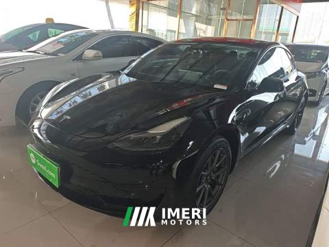 2022 Tesla Model 3 Rear-Wheel Drive
