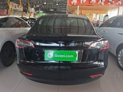 Tesla Model 3 Rear-Wheel Drive - ფოტო 5