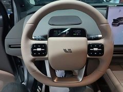Li Auto i6 Four-Wheel Drive Standard Edition - ფოტო 10