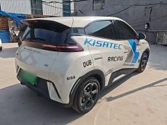 BYD Seagull Freedom Edition - ფოტო 6