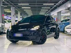 Tesla Model Y Rear-Wheel Drive - ფოტო 1