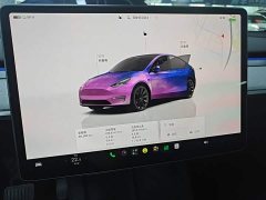 Tesla Model Y Rear-Wheel Drive - ფოტო 11