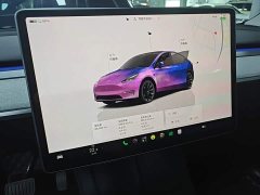 Tesla Model Y Rear-Wheel Drive - ფოტო 12