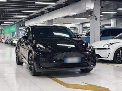 Tesla Model Y Rear-Wheel Drive - ფოტო 3