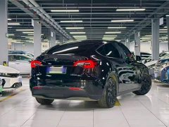 Tesla Model Y Rear-Wheel Drive - ფოტო 6