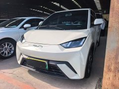 BYD Seagull 305km Vitality Edition - ფოტო 1