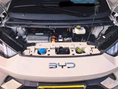 BYD Seagull 305km Vitality Edition - ფოტო 13