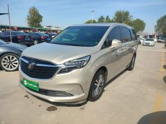 Buick GL8 ES Land Respect 653T Respect Enjoyment Edition - ფოტო 1
