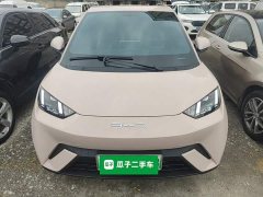 BYD Seagull 2023 Flying Edition - ფოტო 2
