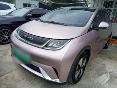 BYD Dolphin 420km Freedom Edition - ფოტო 1