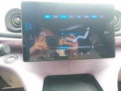 BYD Dolphin 420km Freedom Edition - ფოტო 12