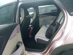 BYD Dolphin 420km Freedom Edition - ფოტო 16