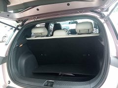 BYD Dolphin 420km Freedom Edition - ფოტო 18