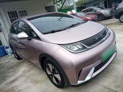 BYD Dolphin 420km Freedom Edition - ფოტო 3