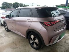 BYD Dolphin 420km Freedom Edition - ფოტო 4