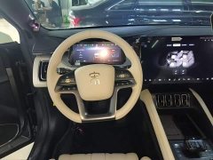 BYD Song L EV 550km Excellence Edition - ფოტო 5