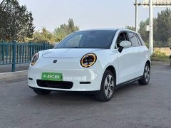 Yttrium 3 Cherished Edition 330km Lite - photo 1