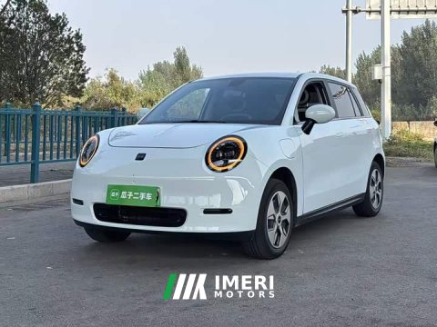 2024 Yttrium 3 Cherished Edition 330km Lite - автомобиль из Китая
