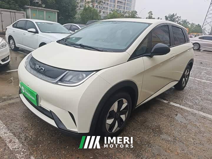 BYD Dolphin 420km Freedom Edition - ავტომობილი ჩინეთიდან