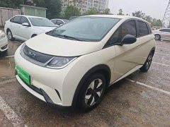 BYD Dolphin 420km Freedom Edition - ფოტო 1