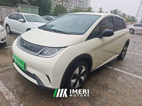 2025 BYD Dolphin 420km Freedom Edition