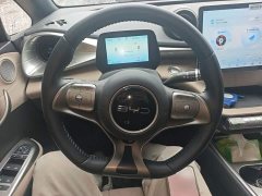BYD Dolphin 420km Freedom Edition - ფოტო 10
