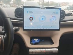 BYD Dolphin 420km Freedom Edition - ფოტო 12