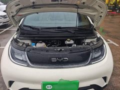 BYD Dolphin 420km Freedom Edition - ფოტო 19