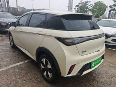 BYD Dolphin 420km Freedom Edition - ფოტო 4