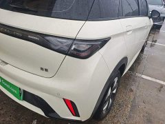 BYD Dolphin 420km Freedom Edition - ფოტო 7