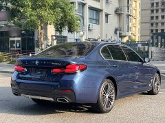BMW 5 Series 530Li Premier M Sport Package - ფოტო 9