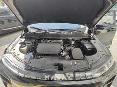 Haval Xiaolong MAX 2025 Hi4 165 Ultra Intelligent Driving Edition - ფოტო 19