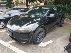 Tesla Model Y Long Range All-Wheel Drive - ფოტო 1