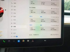 Tesla Model Y Long Range All-Wheel Drive - ფოტო 11