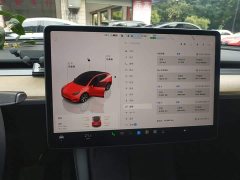 Tesla Model Y Long Range All-Wheel Drive - ფოტო 12