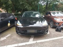 Tesla Model Y Long Range All-Wheel Drive - ფოტო 2