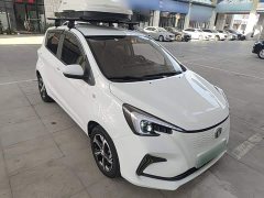 Changan Benben E-Star 2020 Heartbeat Edition Ternary Lithium - ფოტო 3