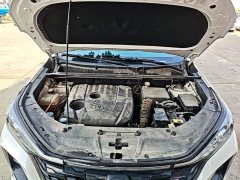 Changan CS75PLUS 1.5T Automatic Luxury - ფოტო 19