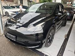 Tesla Model Y Performance All-Wheel Drive - ფოტო 1