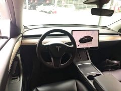 Tesla Model Y Performance All-Wheel Drive - ფოტო 10